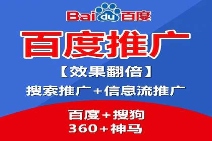 百度竞价广告投放全解析：成功案例揭秘